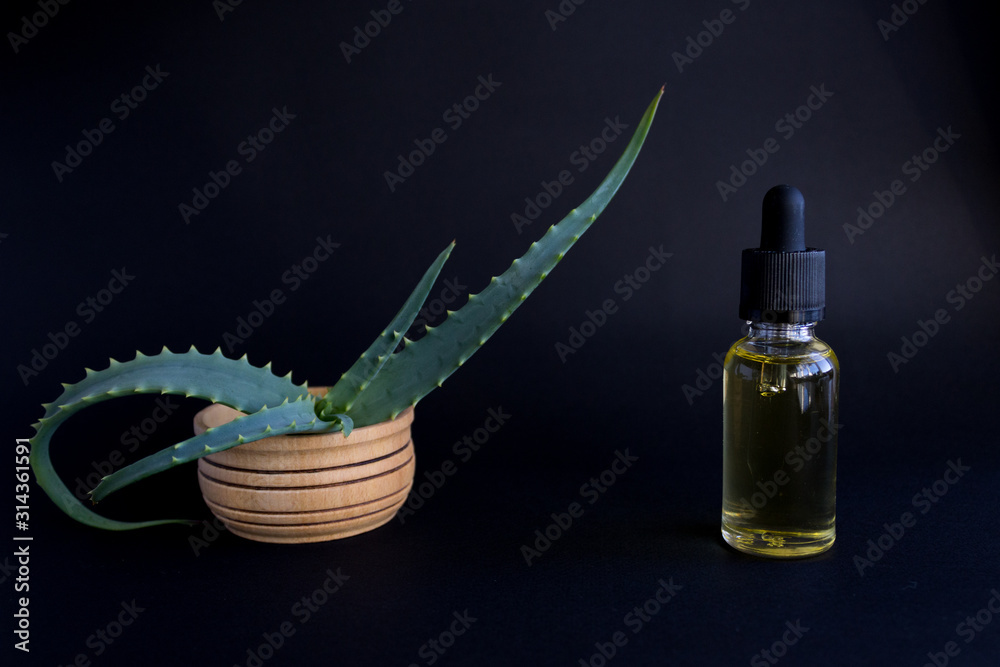 Dropper bottle with aloe vera essential oil, professional skin care on a dark background Dropper bottle with aloe vera essential oil, professional skin care on a dark background