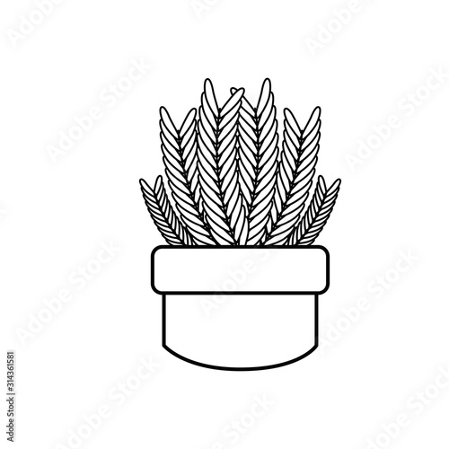 potted succulent plants line style icon