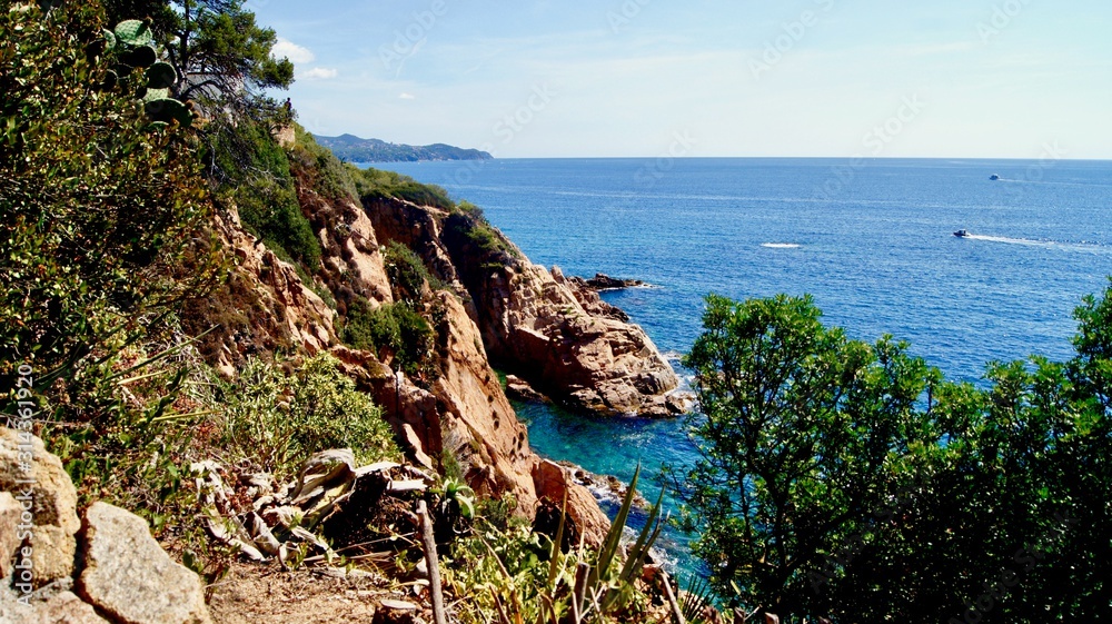 Fototapeta premium Jardi Botanic Marimurtra