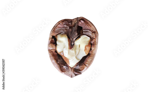 walnut natural hearth shape antioxidant isolated  photo