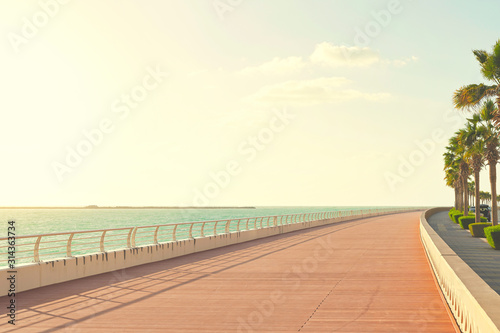 Walkway in red at the oceanside good for excercise during a sunny day with palms