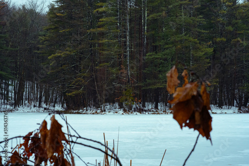 Fall mixed with winter