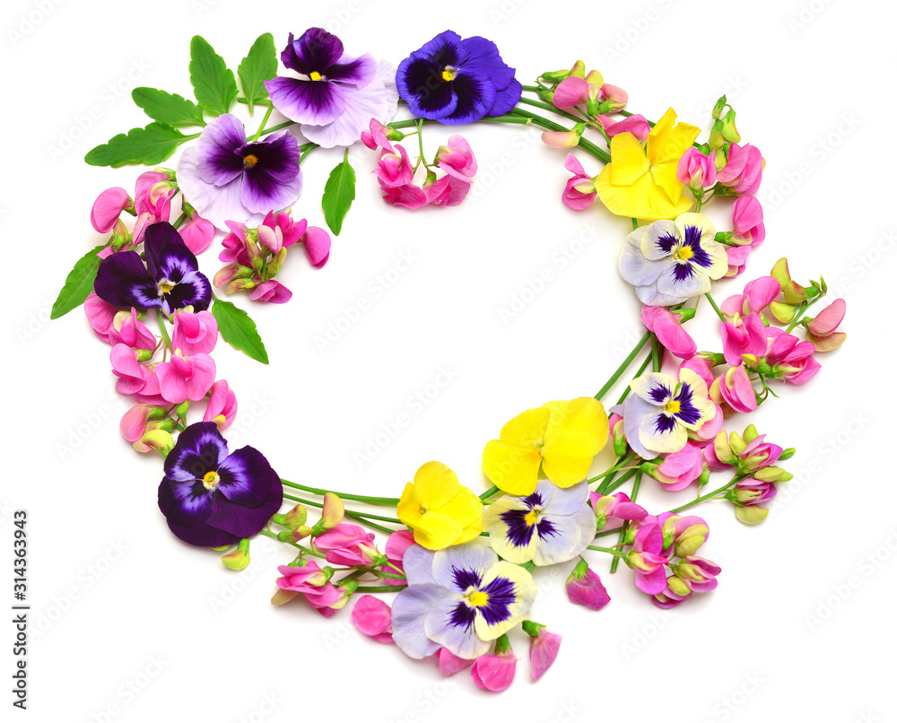 Flowers of pink peas and yellow pansy wreath isolated on white background. Perfectly retouched, full depth of field on the photo. Flat lay, top view