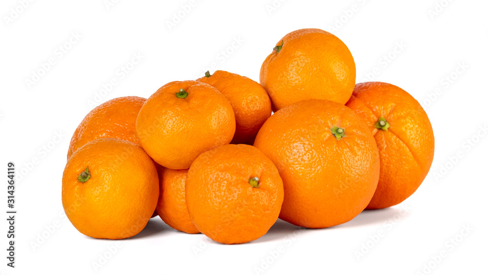 Orange and mandarin or tangerine fruit isolated on white background. Orange and mandarin or tangerine fruit isolated on white background.