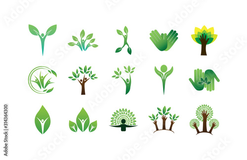 Isolated natural leaves support shapes icon set vector design