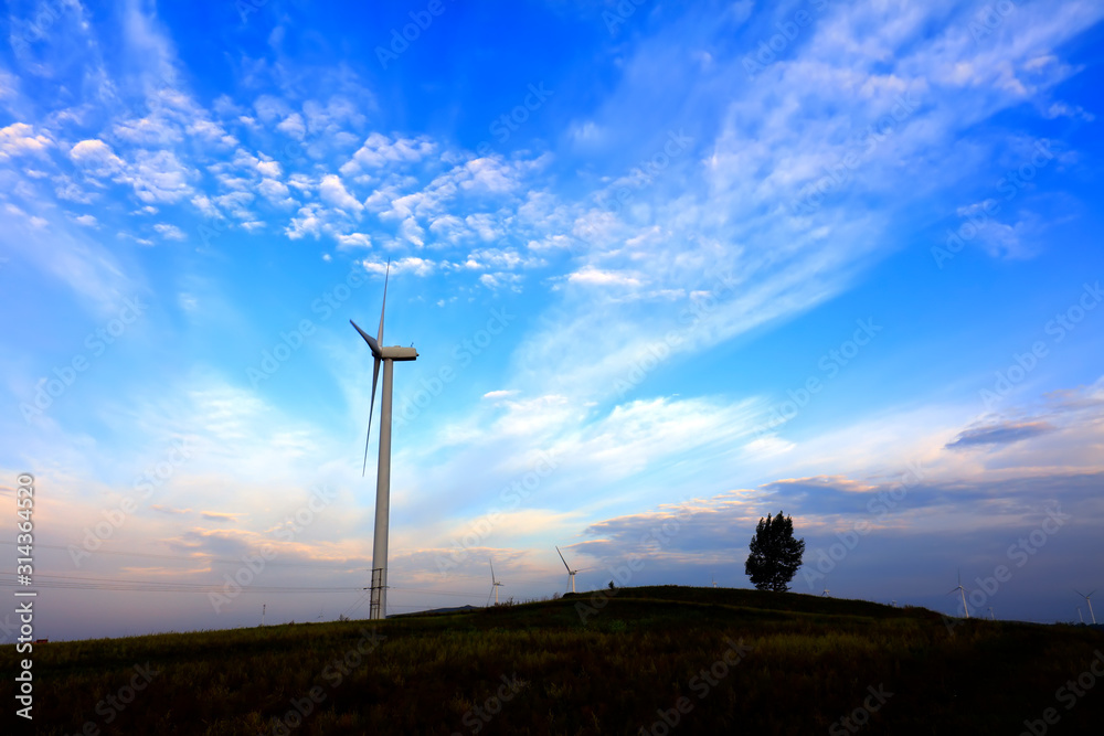 Obraz premium Wind turbines in the evening