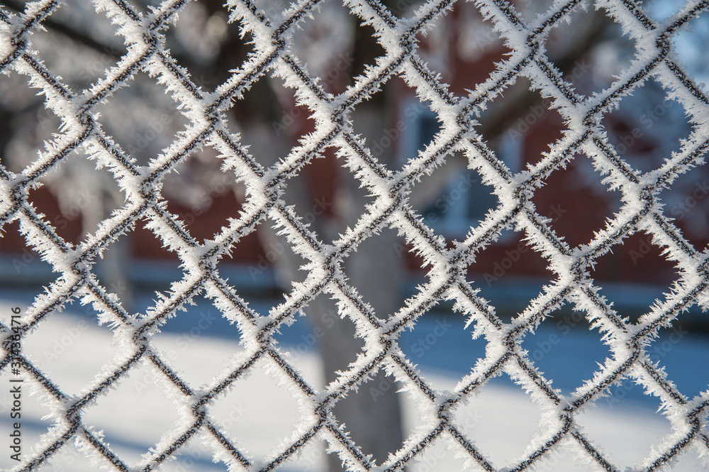 grid covered with snow, mesh covered with frost grid covered with snow, mesh covered with frost