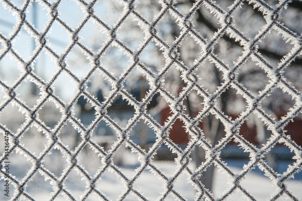 grid covered with snow, mesh covered with frost grid covered with snow, mesh covered with frost