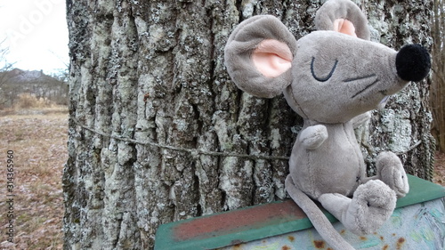 An old metal mailbox is tied to the oak trunk and a soft toy rat sits on it.