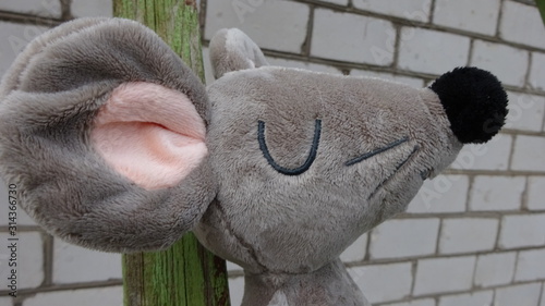 Soft toy rat, portrait in profile, close-up. In the background - a white brick wall. A fragment of green ladder is also visible.