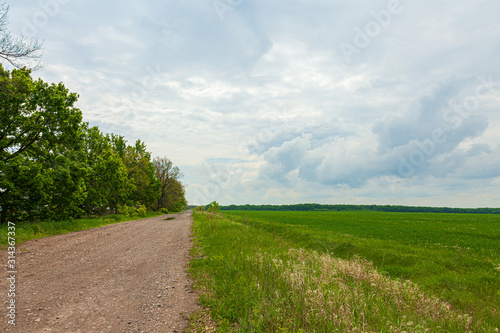 An empty gravel country road with trees along it. Deserted rural place. Forest belt along the way. Green field of fresh grass.