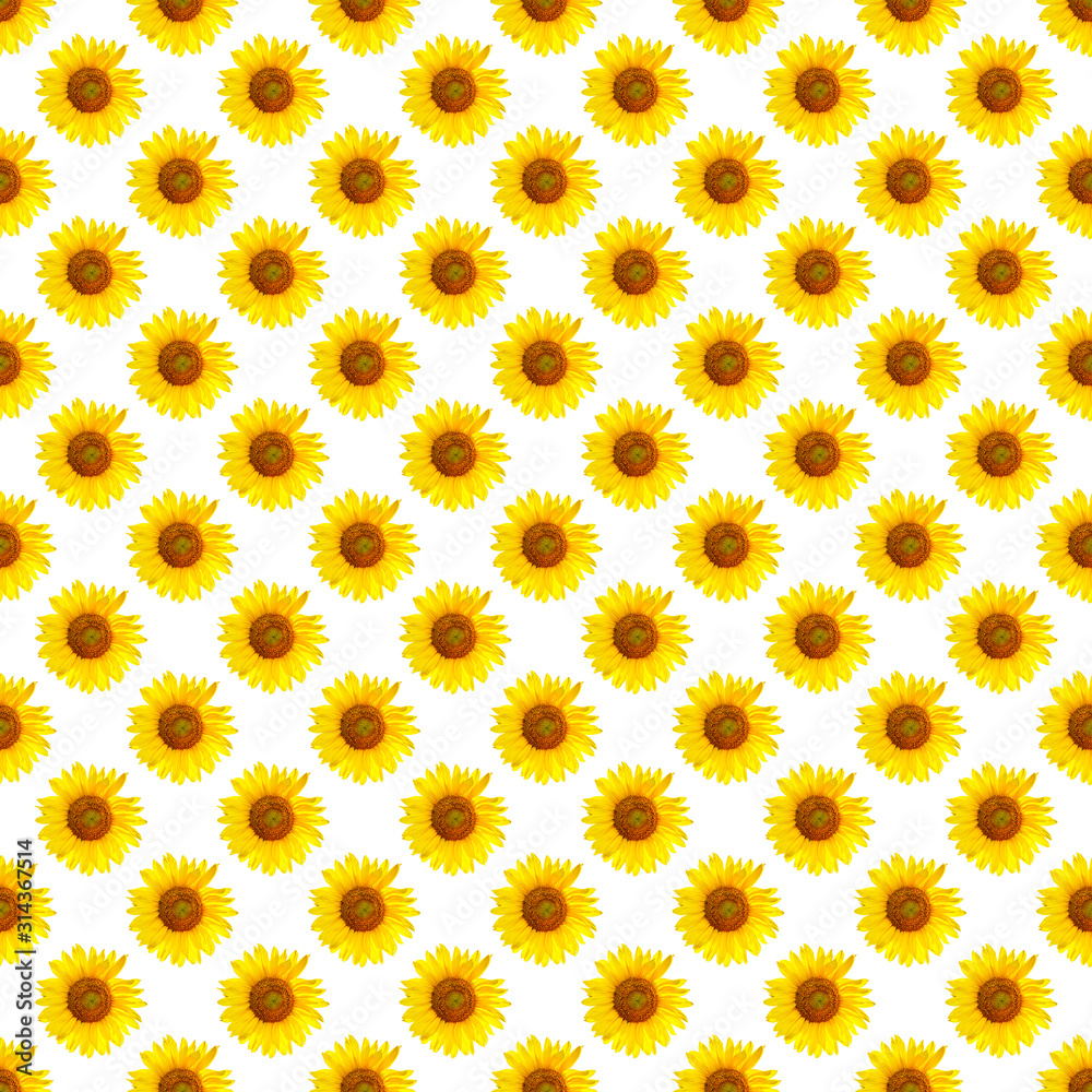 Yellow flower repetitive pattern on white background. Printable seamless  autumn repeat pattern background with marsh marigold flower. Set of yellow  flowers isolated for print and design. Stock Photo | Adobe Stock
