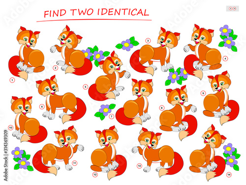 Logic puzzle game for children and adults. Need to find two identical foxes. Printable page for kids brain teaser book. Developing spatial thinking skills. IQ training test. Vector cartoon image.