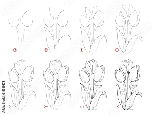 How to draw step-wise beautiful bouquet of tulip flowers. Creation step by step pencil drawing. Educational page for artists. School textbook for developing artistic skills. Hand-drawn vector image.