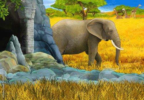 cartoon safari scene with elephant on the meadow illustration for children