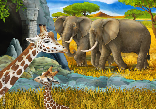 cartoon scene with safari animals giraffe and elephant on the meadow illustration for children