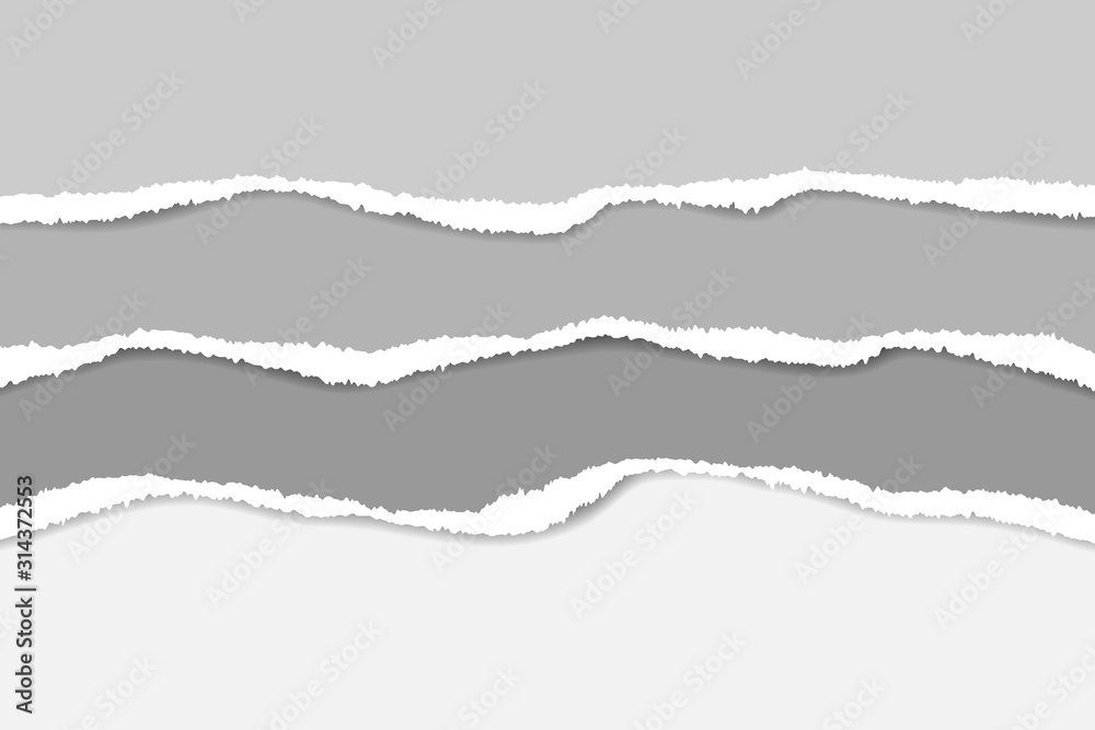 Ripped paper. Vector of ripped paper. The paper was ripped background. Ripped paper. Vector of ripped paper. The paper was ripped background.