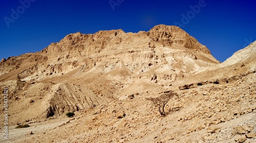 Ein Gedi 