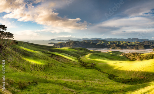 Light and shade on the lush green  hills and valleys of agricultural farmland of the Coromandel  coast