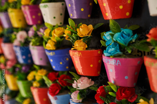 colorful flowers in pots cordoba souvenir