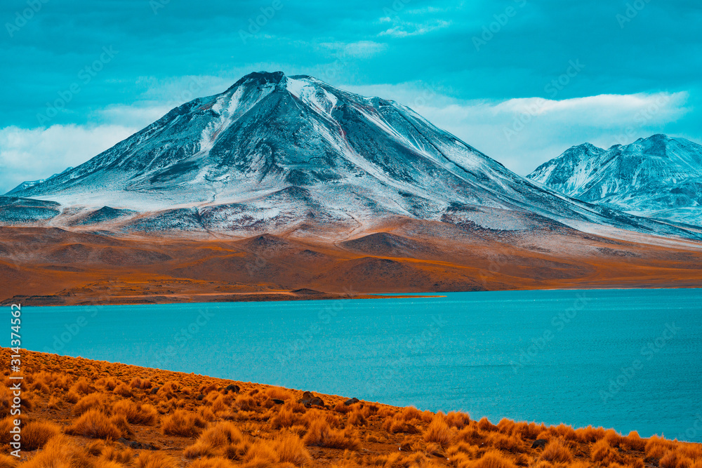 Fototapeta premium mt fuji in japan