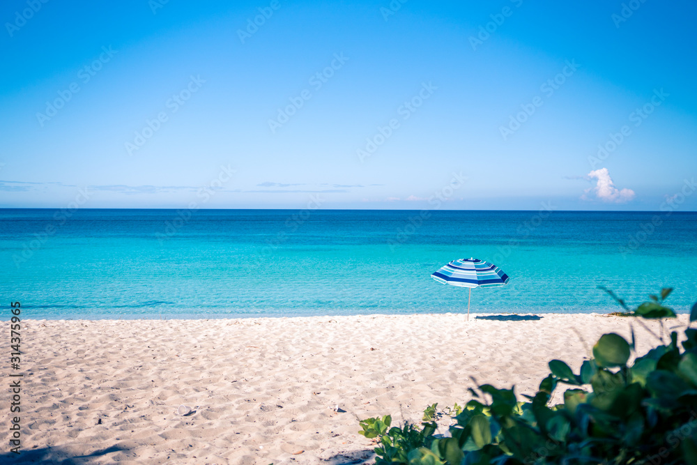 Fototapeta premium umbrella in the beach with nature
