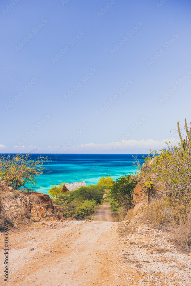 beach in the caribbean