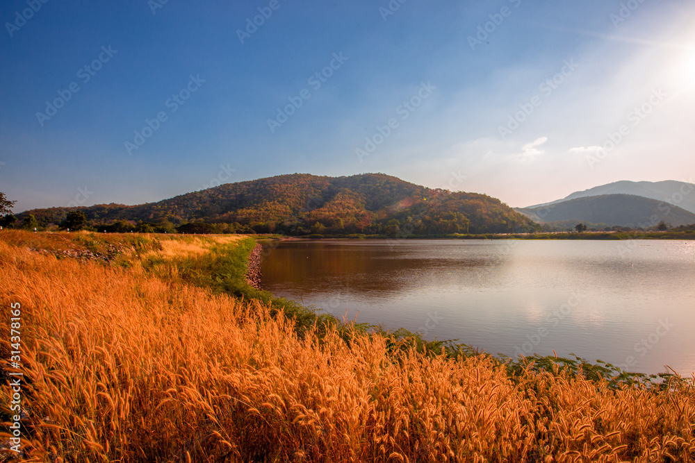 Obraz premium The blurred panoramic nature background of sunlight hitting the lake's surface, grass and wind blowing all the time along the large mountains, ecological beauty and fresh air.