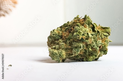 Small dried cannabis inflorescence. Dope marijuana from hemp inflorescences.