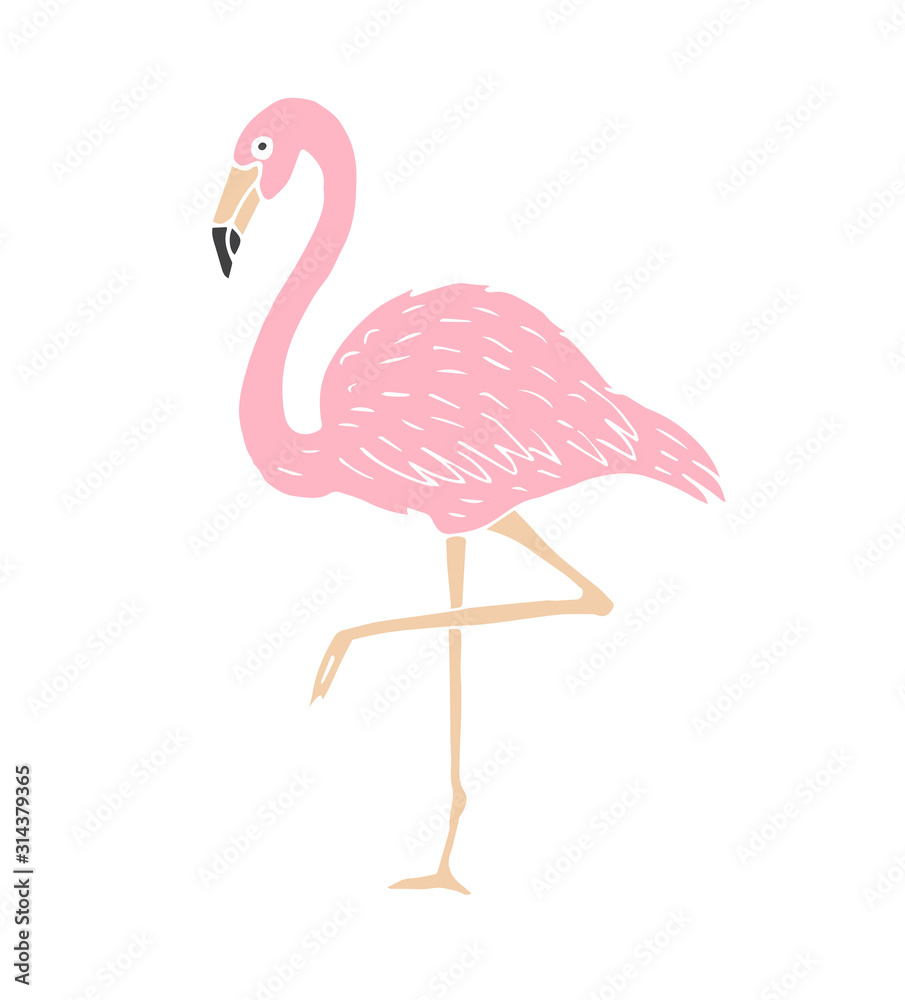 Obraz premium flaming na białym tle