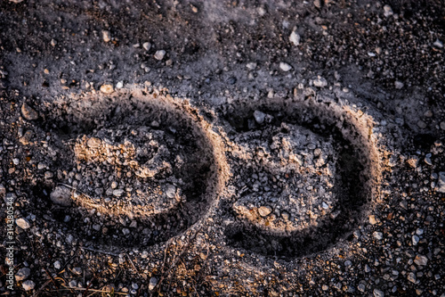 Horseshoe Footprints on Rock Road	 photo