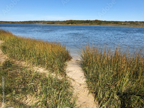 Fototapeta Naklejka Na Ścianę i Meble -  A Path Through the Grass to Shinneock Bay in Southampton, Long Island, New York