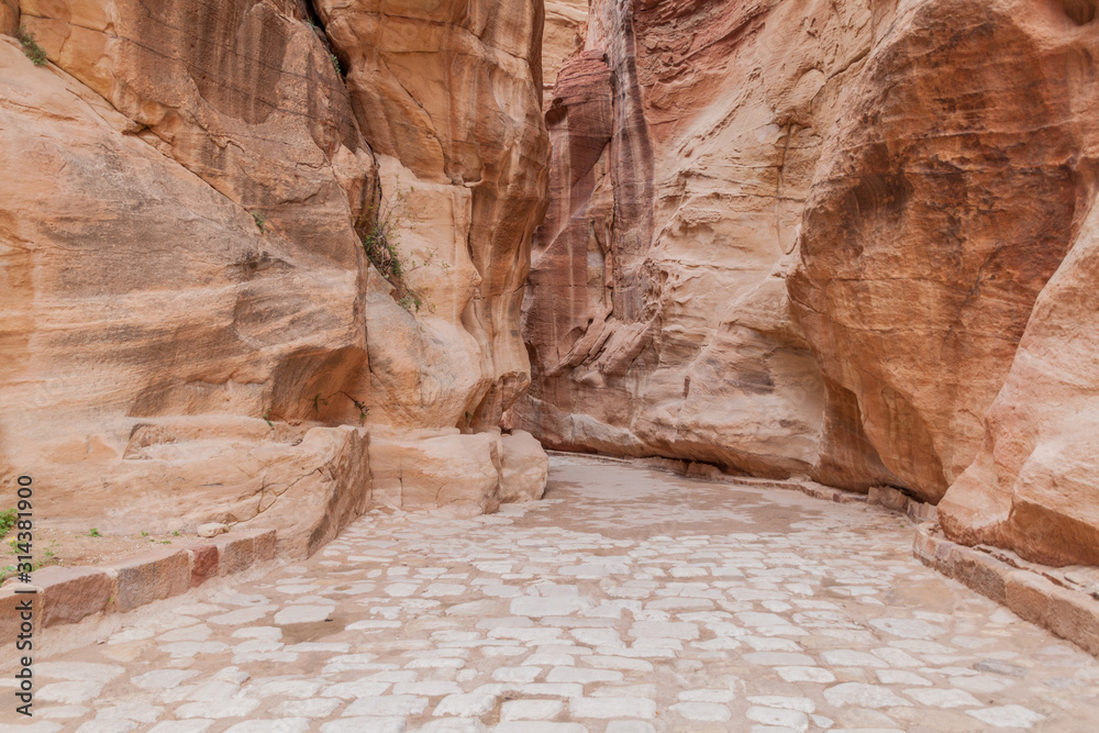 View of the Siq (narrow gorge, main entrance to the ancient city Petra), Jordan