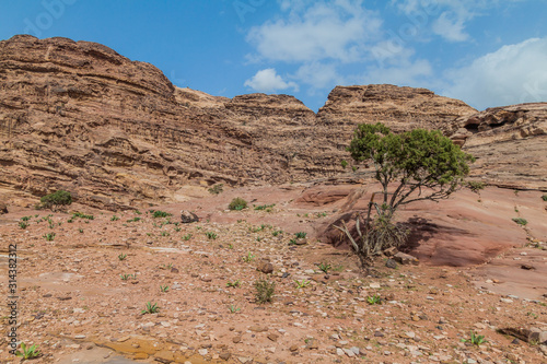 Landscape around the ancient city Petra, Jordan