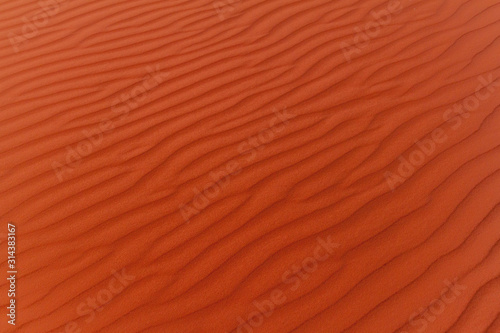 Background of a sand dune