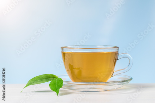Green leaves and a glass Cup of tea on a white table.