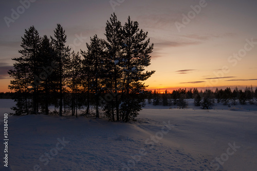 sunset in the park © марина кадырова