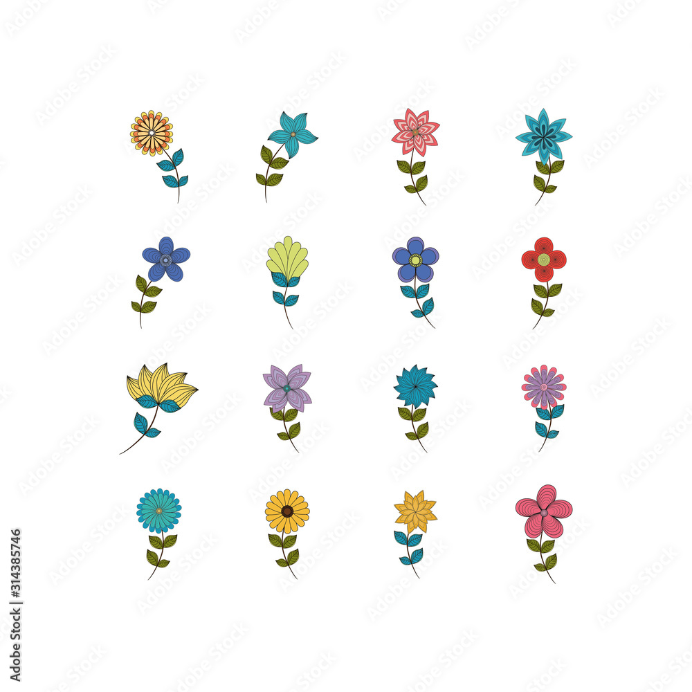 Isolated natural flowers set vector design