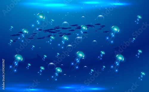 jellyfish in the ocean	