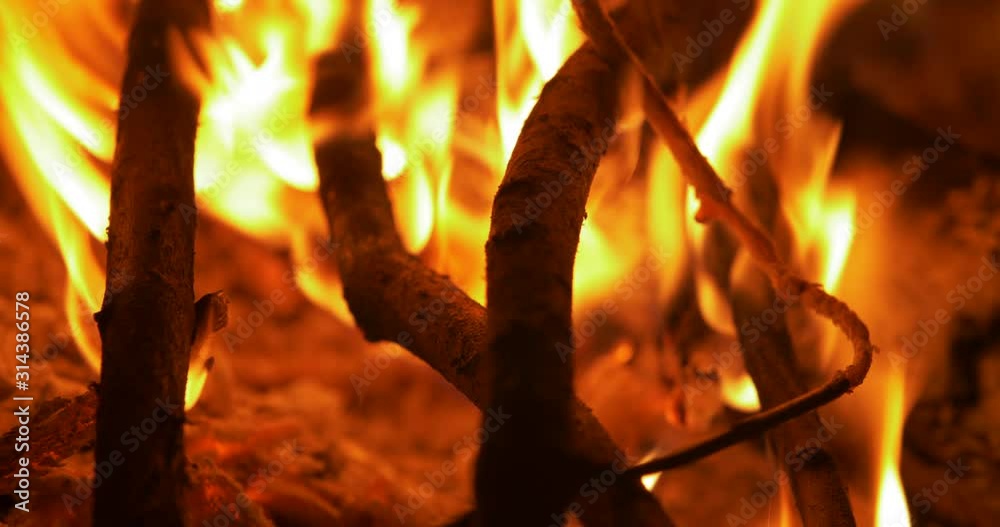 Close up bonfire burning 4k fire background footage