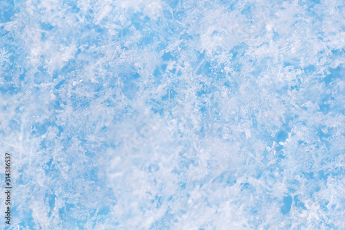 Background from crystal clear real snowflakes in blue and turquoise shades in macro. Christmas and New Year winter background of natural ice snowflakes close-up.