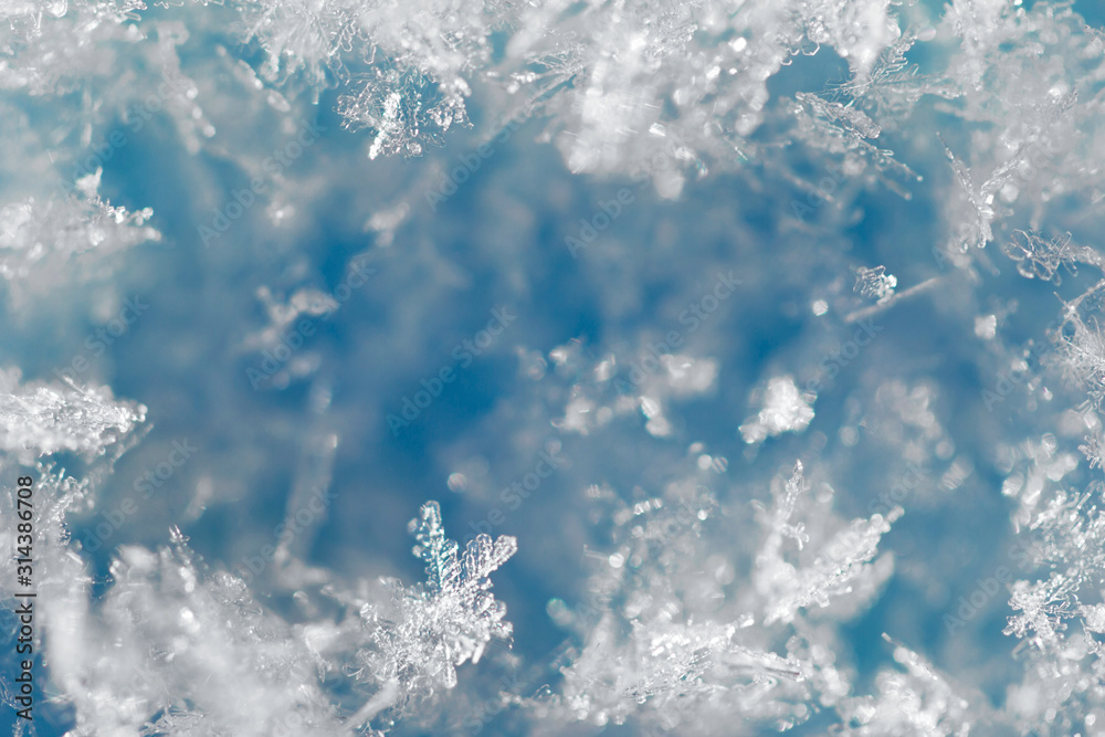 Fototapeta premium Background from crystal clear real snowflakes in blue and turquoise shades in macro with copy space for your text. Christmas and New Year winter background frame of natural ice snowflakes close-up.