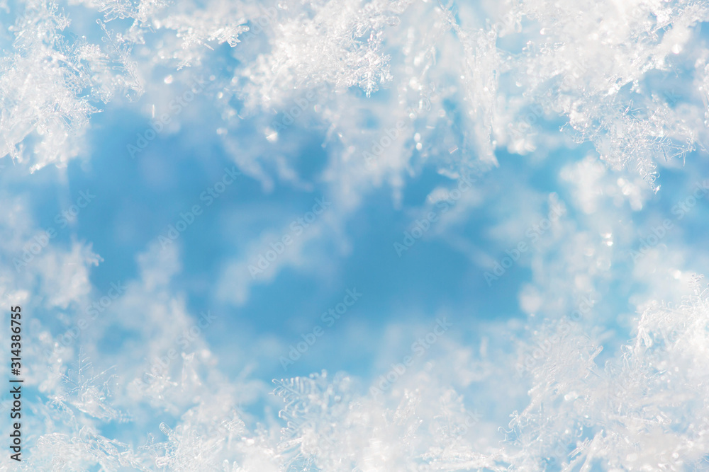 Background from crystal clear real snowflakes in blue and turquoise shades in macro with copy space for your text. Christmas and New Year winter background frame of natural ice snowflakes close-up.