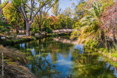 Fototapeta Naklejka Na Ścianę i Meble -  Pond in Parque Infante Dom Pedro park in Aveiro, Portugal