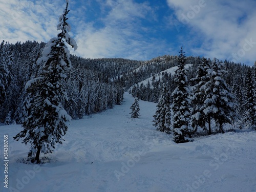 OLYMPUS DIGITAL CAMERA Ski runs at Panorama Ski Slope in Purcell Mountain Range, British Columbia Canada