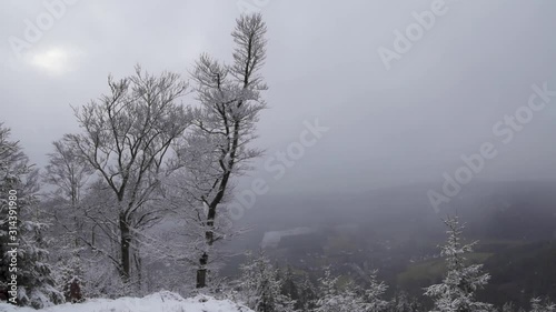 light snow on nice valleyview with snow covered trees photo