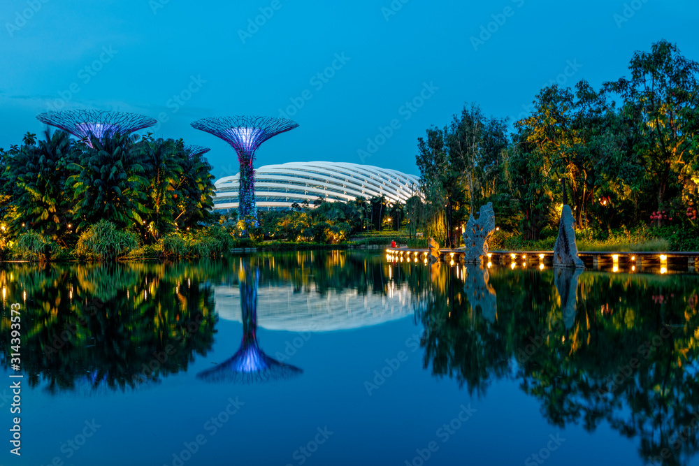 Garden by the Bay at night, Singapore