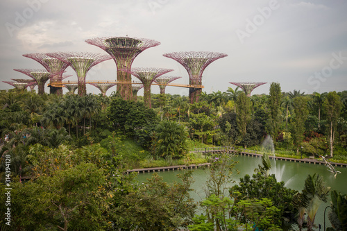 Panoramic view of Gardens by The Bay in twilight glow, Singapore
