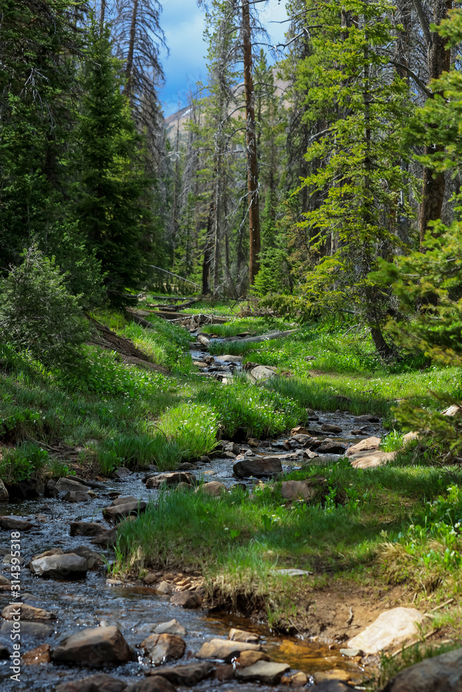 Lost creek in Uinta Wasatch national forest Lost creek in Uinta Wasatch national forest