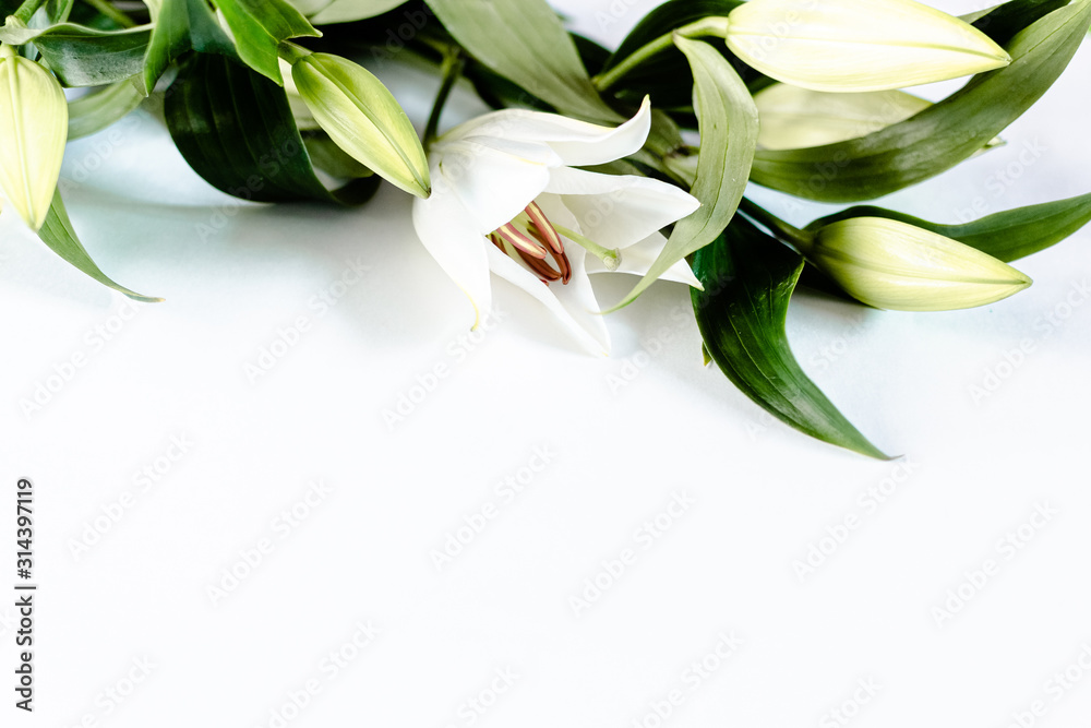 lily flower isolated on a white background. Saint Valentine's and engagement concept.